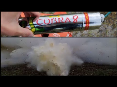 Cobra 8 vs 20kg múky 🧨🐍, Extrémny efekt!!!