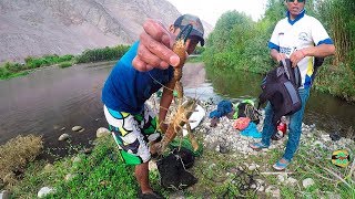 Pesca de Camarones en Río - Pescando Camarones con Atarraya