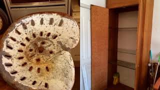 March 12th Auction - Belvidere, IL