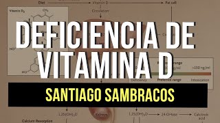 Deficiencia de Vitamina D ☀ | Todo lo que necesitas saber