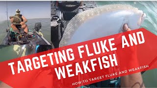 How to Target Fluke and Weakfish - Outgoing Tide ( how to catch fluke and weakfish )