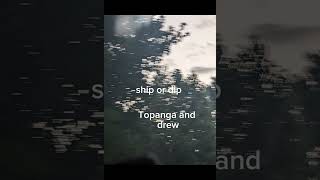 Ship Or Dip シ