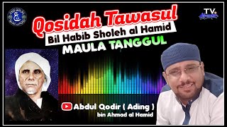 NEW !! Qosidah Tawasul Bil Habib Sholeh al Hamid Maula Tanggul : Abdul Qodir ( Ading ) al Hamid