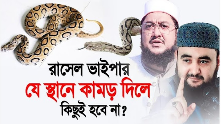রাসেল ভাইপার যেস্থানে কামড় দিলে কিছুই হবে না ! Shaikh Ahmadullah