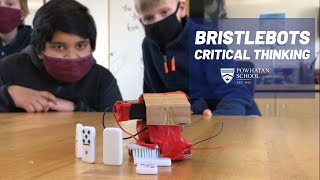 Bristlebots