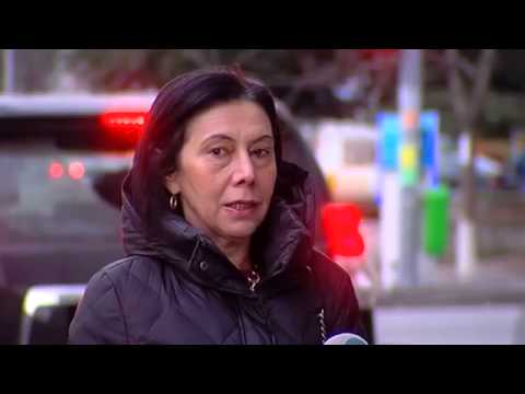 ნინო გოგუაძის კომენტარი