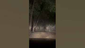 Bahrain Sumathi Valavu 