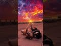 I like puppies, I like sunset, I like romance, I like you even more.#sunset #fyb