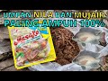 Umpan Jitu ikan Nila Mujair Paling Ampuh 100% Anti Boncos Langsung Tes