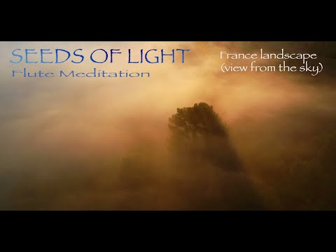 TETOUZE Seeds of light