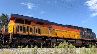 CSX 1973 CHESSIE SYSTEM HERITAGE UNIT LEADING
