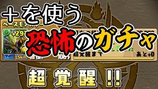 【アプデ】+が吸われていく…新要素の超覚醒やってみた！【パズドラ】