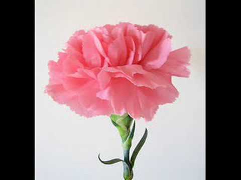 Saint Preux Prelude Pour Piano