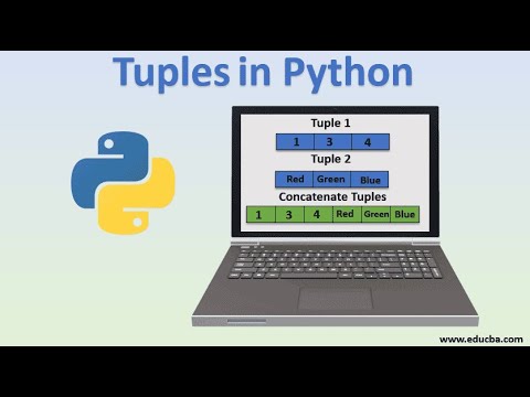 22- Tuples in python الصفوف فى بايثون