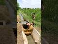 Police рџ ‍⠀️ Man Sleping Man рџ Ё Agge Water рџ Wast Police рџ ‍⠀️ Man Sleping Man рџ Ё Agge Water рџ Wast