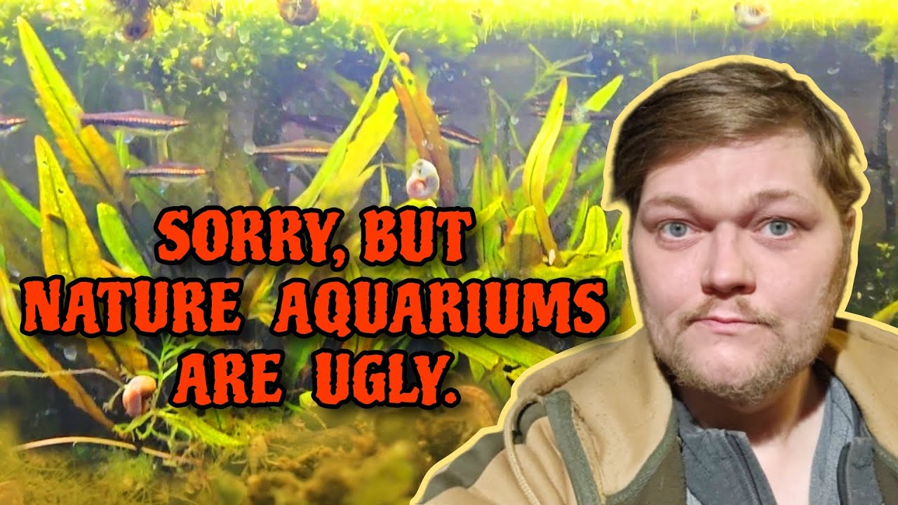 Nature Aquariums Are UGLY. Fishkeeping Cults & Tribalism: Father Fish v. Walstad v. Amano Aquascapes