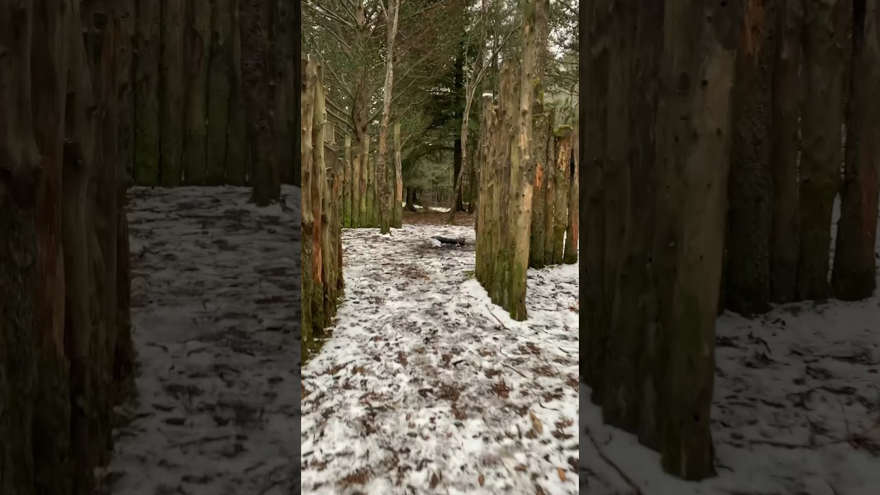 Nature’s classroom: Learning the secrets of the wilderness with every step. 🌿🌍 