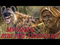 FISI MKUBWA HAONE KANA NAKUGOMA KUTOKA ZIZINI ABADILIKA NA KUA FISI MKUBWA HAONE KANA NAKUGOMA KUTOKA ZIZINI ABADILIKA NA KUA