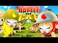 Battle cats  banana cat war apple cat  happy cat funny cartoon 56