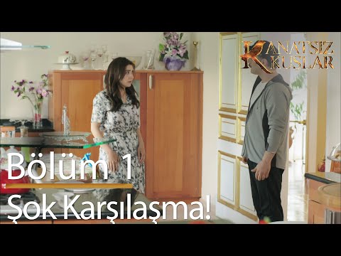 Mutfakta şok karşılaşma! - Kanatsız Kuşlar 1. Bölüm