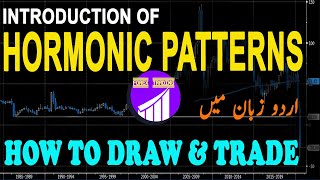 INTRODUCTION OF HARMONIC PATTERNS IN URDU/HINDI | HARMONIC PATTERNS TUTORIALS IN URDU/HINDI