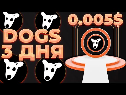 DOGS 3 ДНЯ