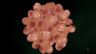 Real-Time Opencl Ray Traced Raster Engine