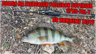 картинка: Evergreen Poseidon Superior SPRS-70L-T. Тест по нижнему тесту