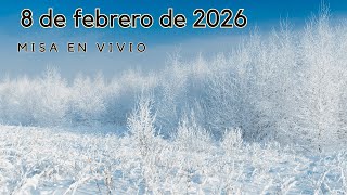 8 de febrero de 2026 - V Domingo Ordinario