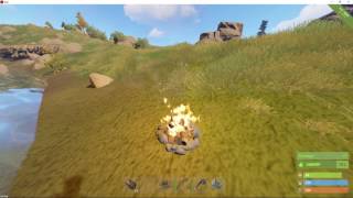 Rust - typical day