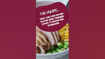 Ag 101: Food Value Chain