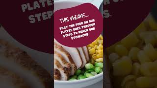 Ag 101 Food Value Chain