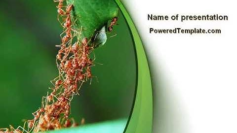 Cooperative Work PowerPoint Template by PoweredTemplate.com