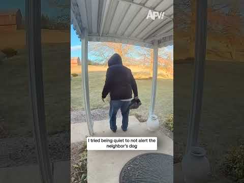 I tried being quiet to not alert the neighbor's dog