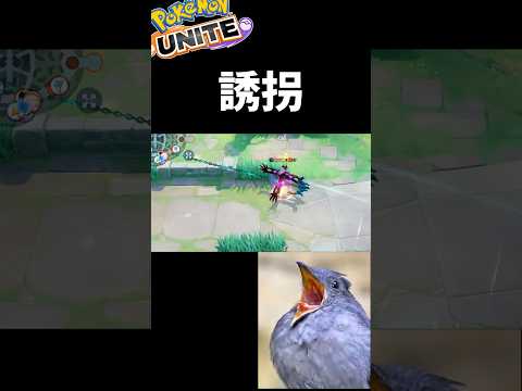 誘拐【ポケモンユナイト】
