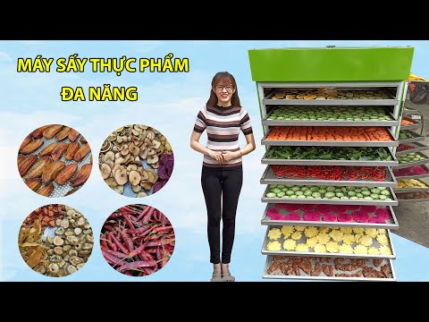 Máy Sấy Thực Phẩm Đa Năng Bình Minh Năng Suất Đến 100kg Giá Rẻ
