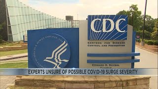Experts Unsure Of Possible Covid-19 Surge Severity