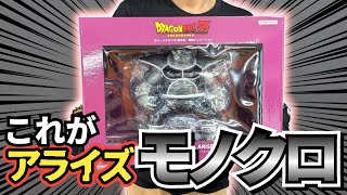 遂に当選!!アライズモノクロカラーは本当に当たる!!