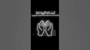 من أجمل التلاوات 🌿🤍 سورة البقرة | قارئ #محمد_اللحيدان #اكسبلور #المصحف #القرآن_الكريم #لايك
