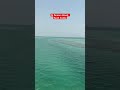 Al Farasan Island Jizan Saudi Arabia June 2025 Al Farasan Island Jizan Saudi Arabia June 2025