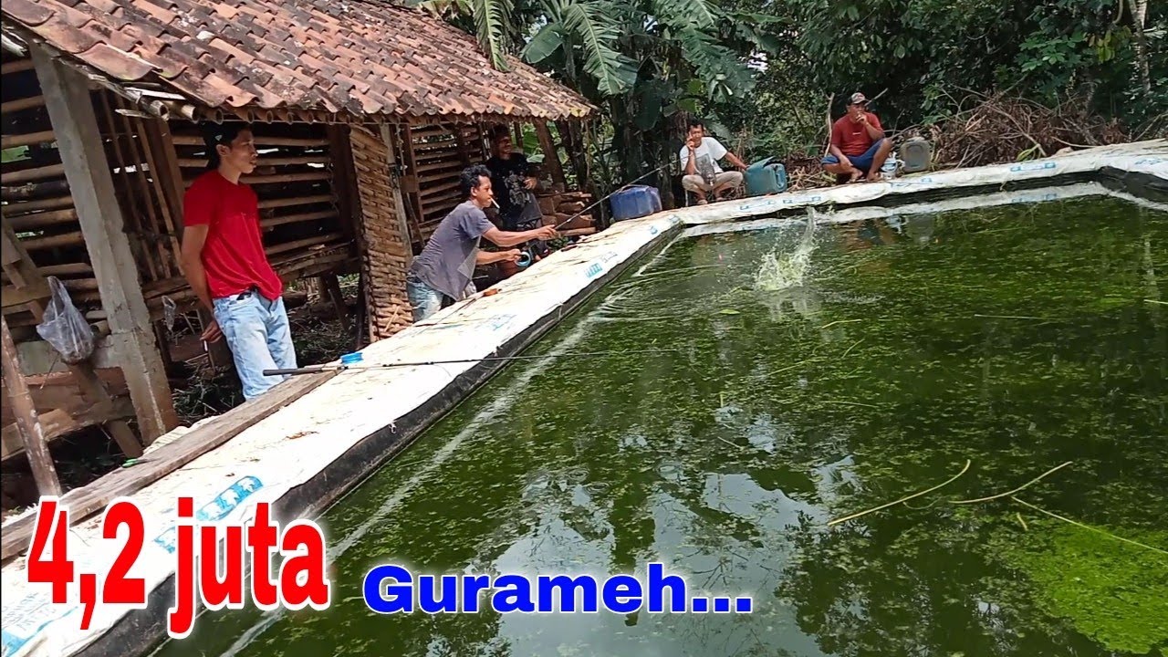 Hanya yang berani saja‼️Jangan panik danTetap panas kalo sebelah narik terus....