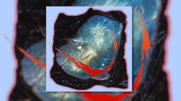 Skrillex, Hamdi, TAICHU & OFFAIAH - Push