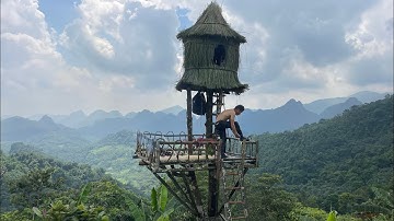 Multi-Level Treehouse with Firepit and Water Source to Stay Safe from Ground Dangers