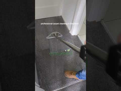 Professional Carpet Cleaning Bradford — Esteamed carpet & upholstery cleaning video