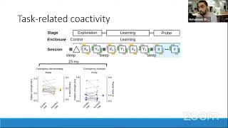 Talk: A Neural Coactivity Code for Dynamic Memory