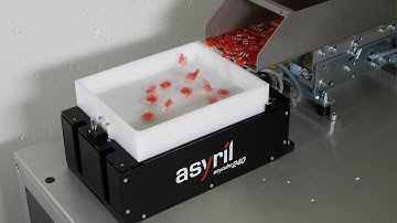 Asycube 240 flexible feeder