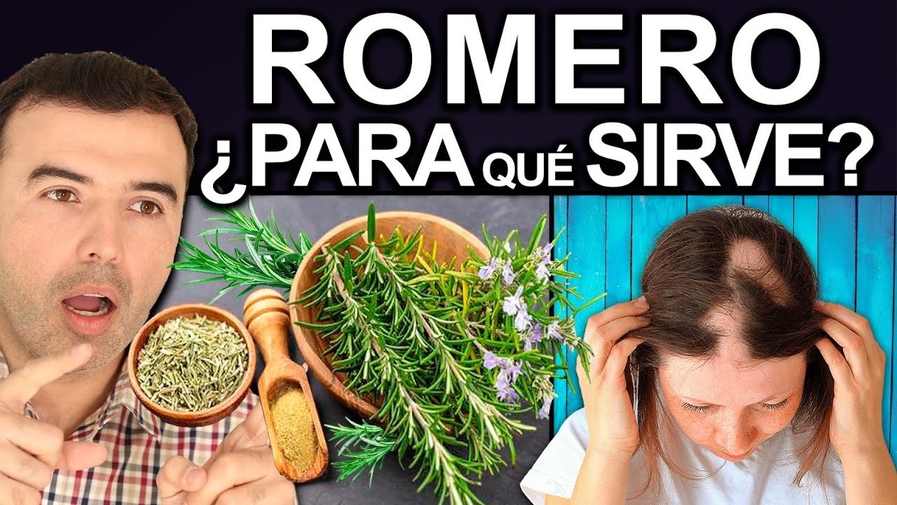 TE DE ROMERO - Como Hacerlo, Beneficios y Contraindicaciones Para Tu Salud