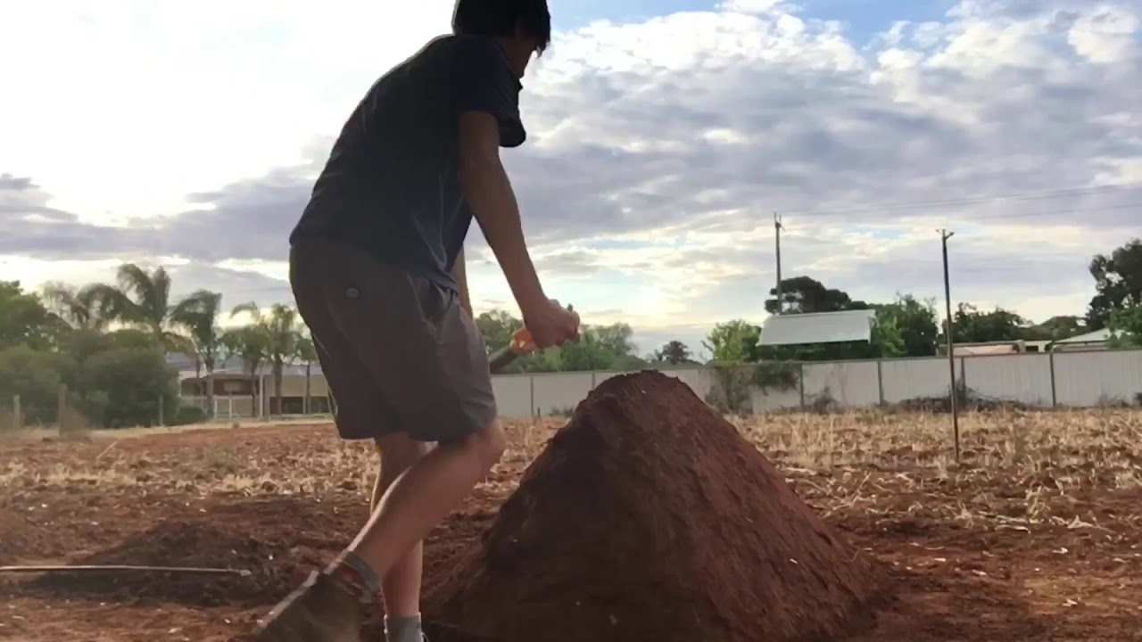 building a dirt jump- part 1 (up ramp)