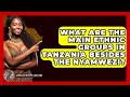 What Are The Main Ethnic Groups In Tanzania Besides The Nyamwezi African Roots And Routes What Are The Main Ethnic Groups In Tanzania Besides The Nyamwezi African Roots And Routes