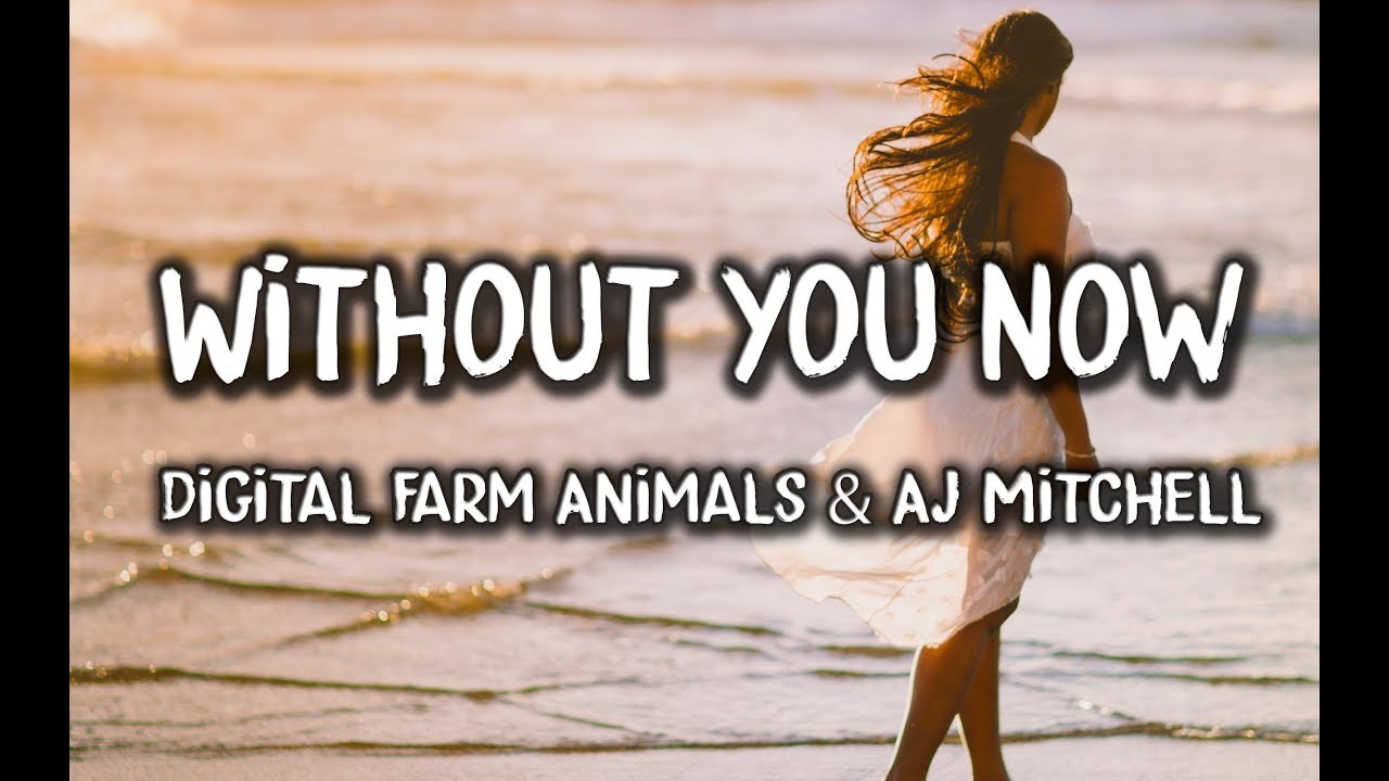 Digital Farm Animals - Without You Now (Lyrics) feat. AJ Mitchell